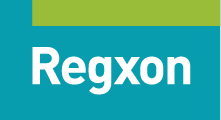 Regxon • Energy Solutions • Egypt